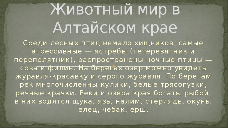 Животные алтайского края презентация