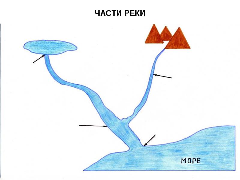 ЧАСТИ РЕКИ ЧАСТИ РЕКИ