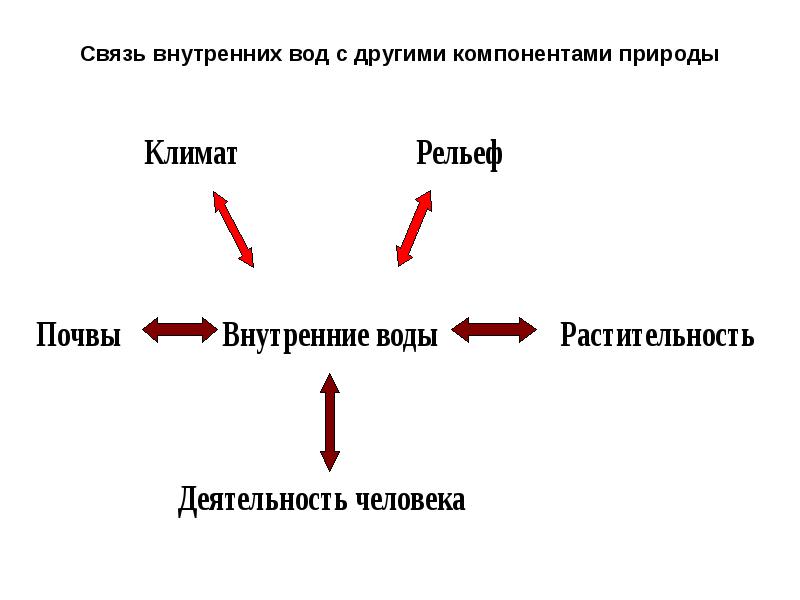 Связь внутренних вод с другими компонентами природы Связь внутренних вод с другими компонентами природы