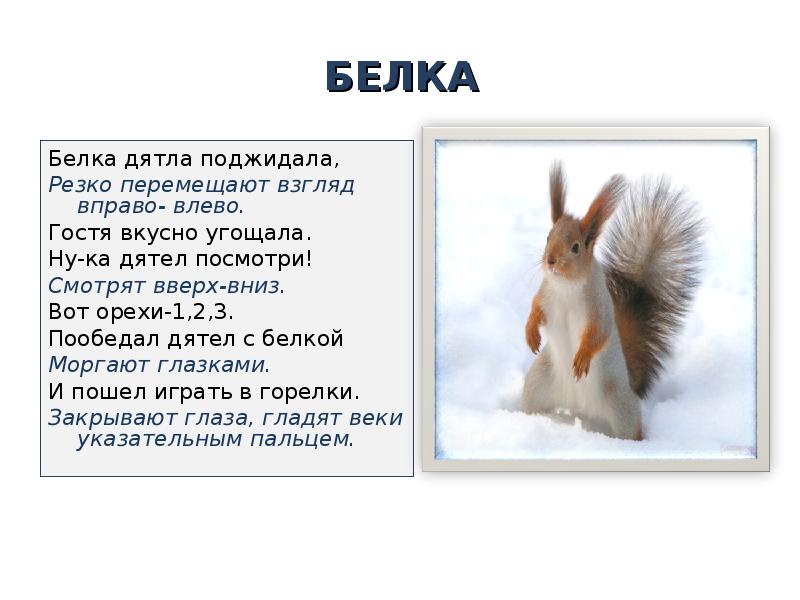 Белку под цифрой 3. В. А. Сухомлинского «как Белочка дятла спасла.»;. Сказка Сухомлинского как Белочка дятла спасла. Гимнастика для глаз белка дятла поджидала. Чистоговорка про белку.