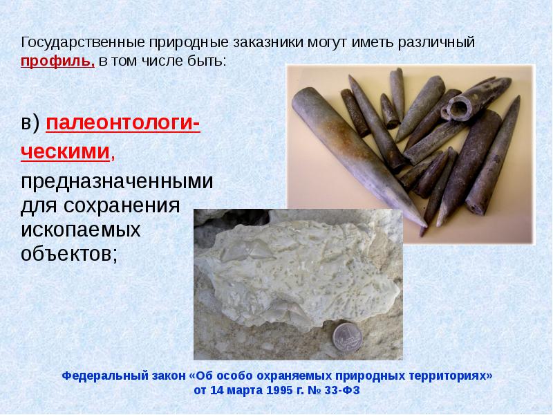 в) палеонтологи- в) палеонтологи- ческими,  предназначенными для сохранения ископаемых объектов;