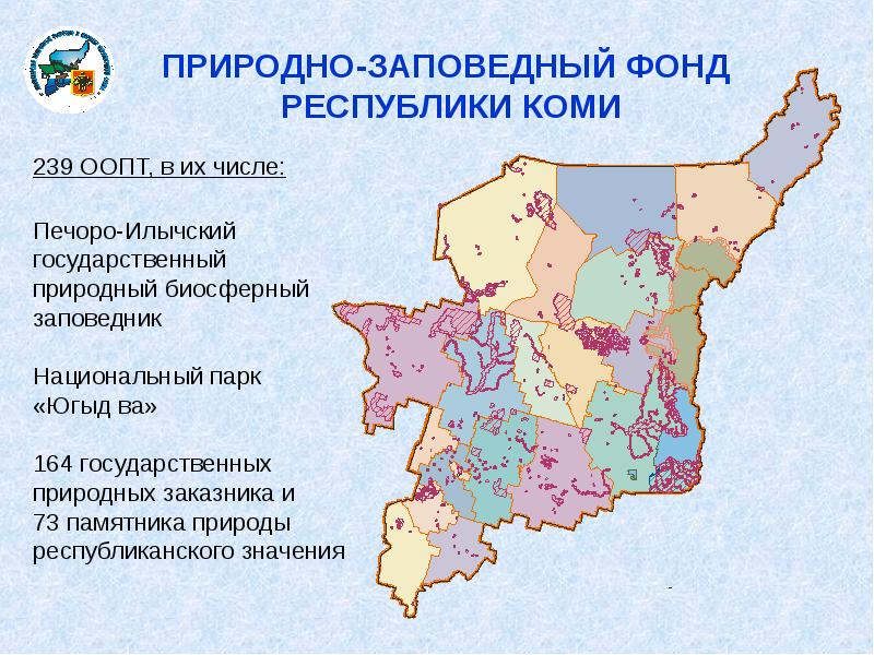 Региональные проекты республики коми