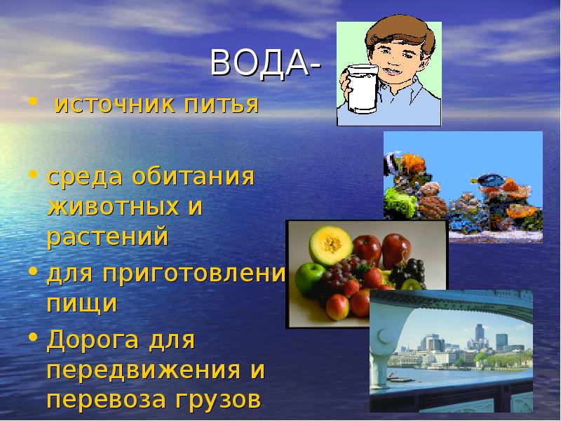 Вода в жизни животных. Роль воды на земле. Какое значение вода имеет для растений животных человека. Вода для животных и растений. Значение воды для человека и животных.