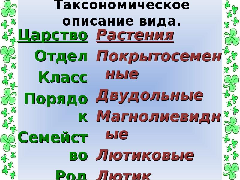 Царство отдел род вид растения