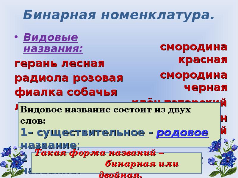«роды растений» линней. систематика растений бинарная номенклатура. шаедский наьуралист оинеей. виды растений двойные названия. кто предложил бинарную номенклатуру видов.