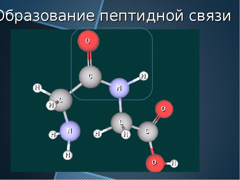 Пептидная связь рисунок