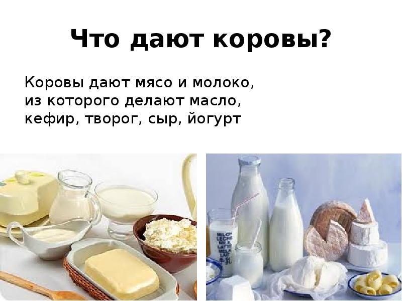 Корова дает мясо