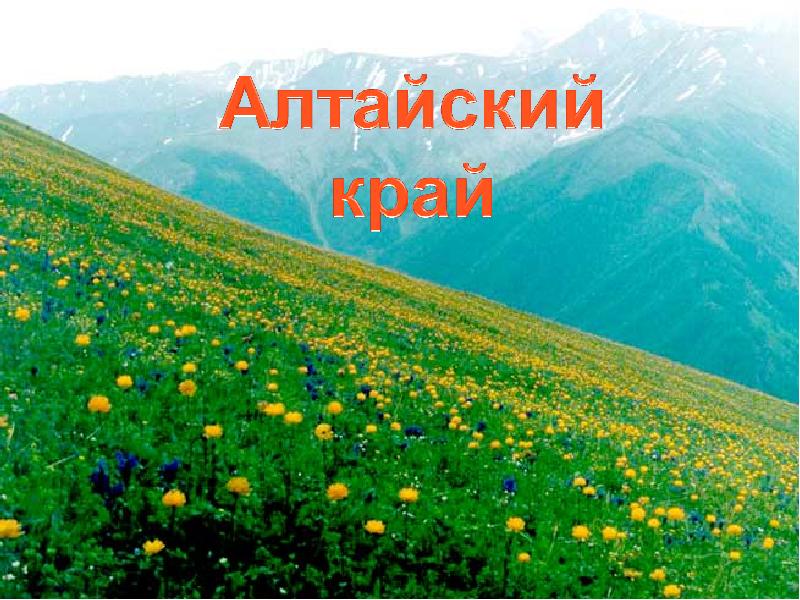 Доклад: Алтайский край