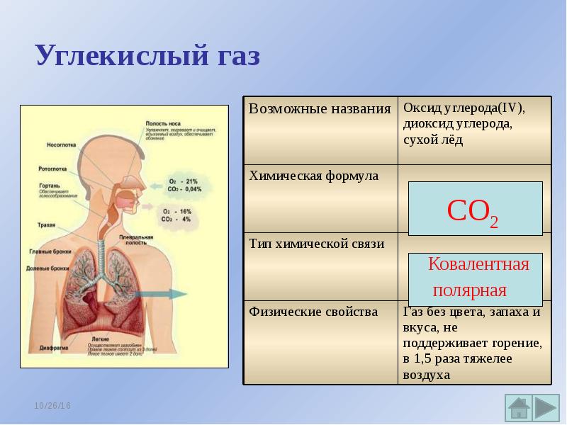 Углекислый Газ Купить Екатеринбург