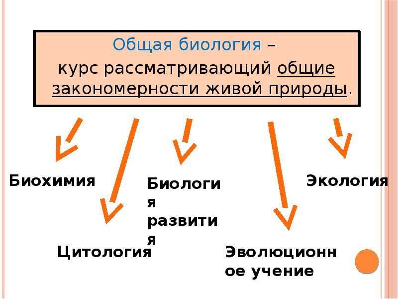 Выявление общих закономерностей живой природы