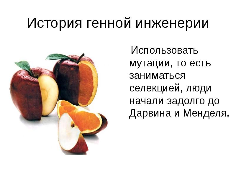 Продукты генной инженерии презентация