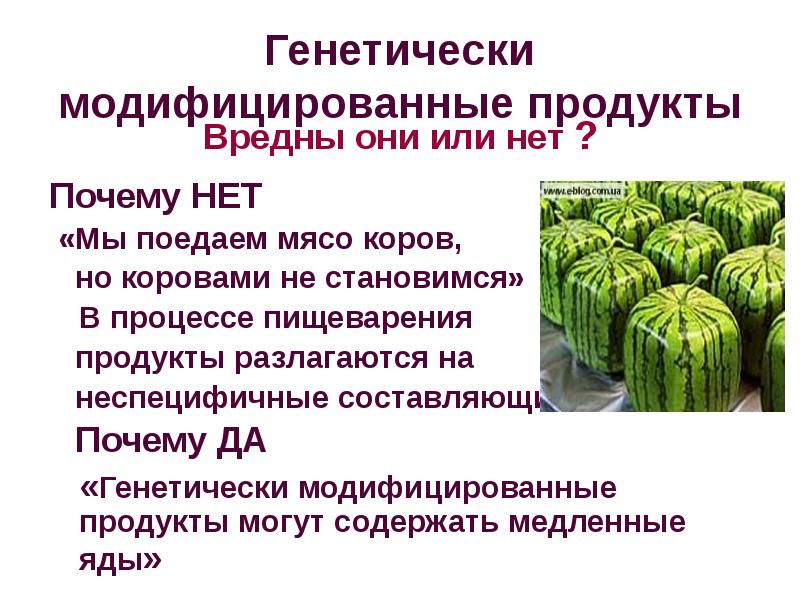 Презентация на тему гмо