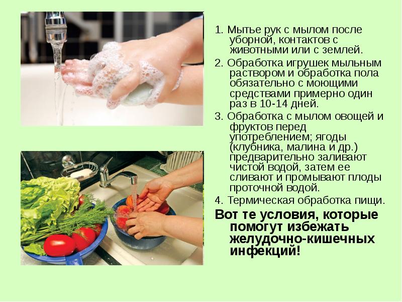 1. Мытье рук с мылом после уборной, контактов с животными или