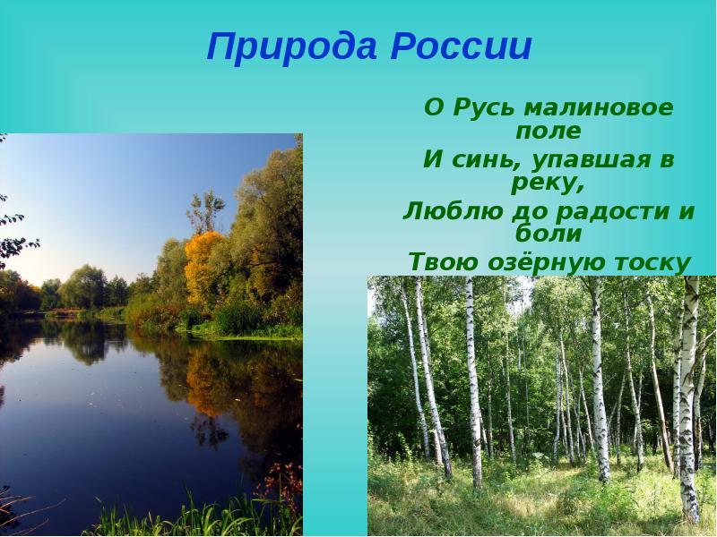 Природа России О Русь малиновое поле И синь, упавшая в реку,