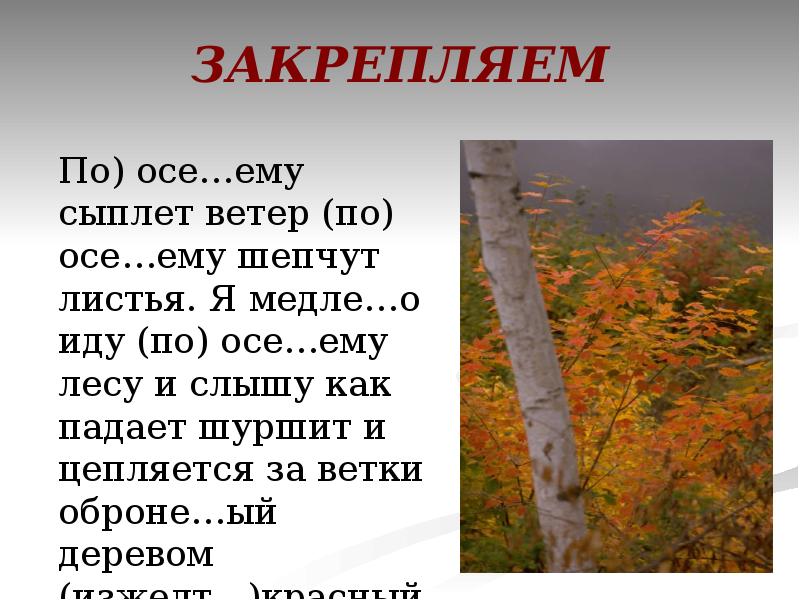 По осеннему сыплет ветер