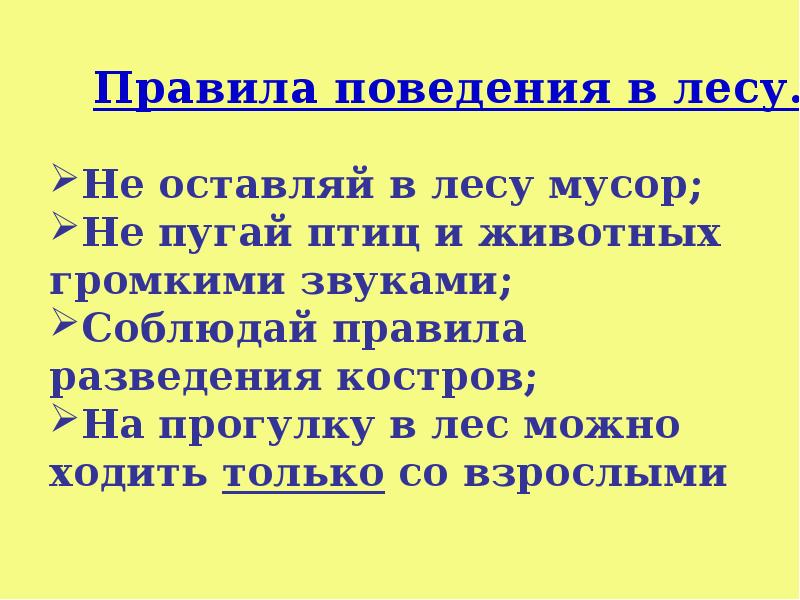 Впереди лето презентация 2 класс окружающий