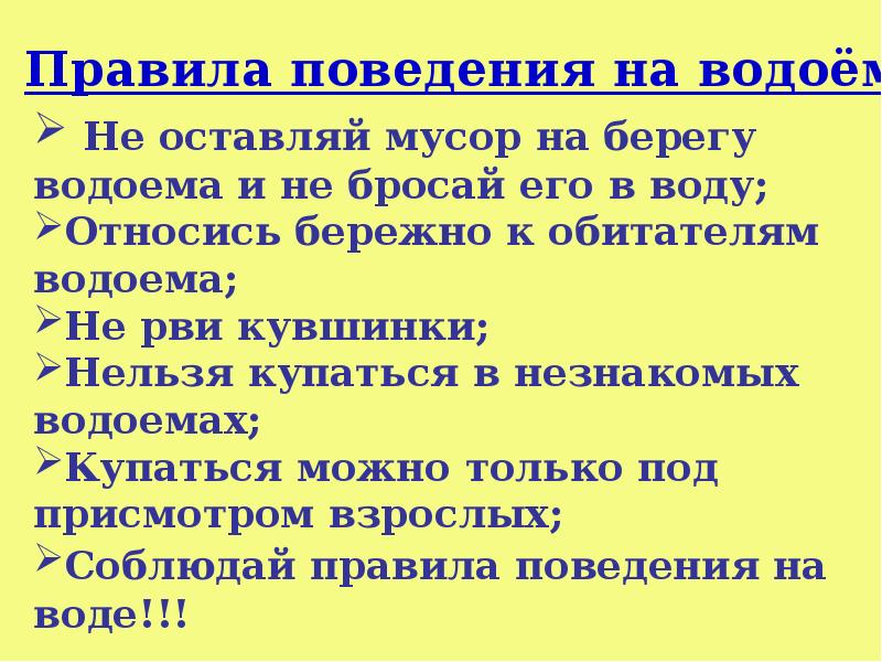 Презентация на тему впереди лето 2 класс окружающий мир