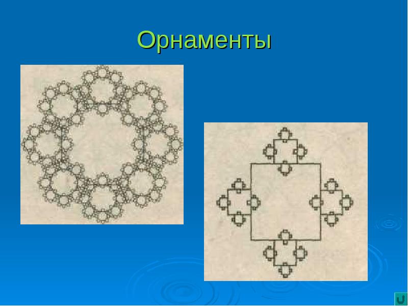 Проект фракталы презентация