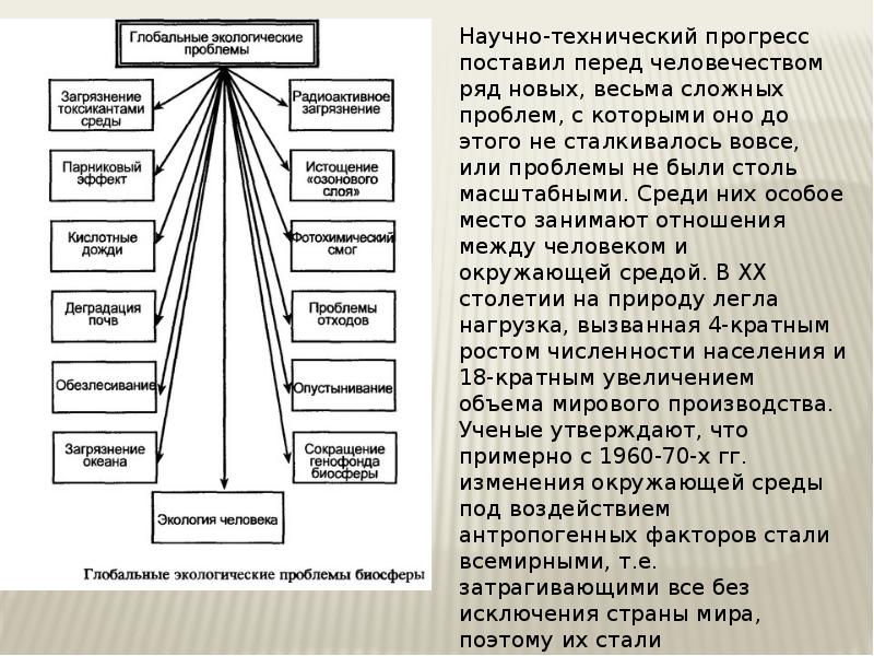 Радиоактивное загрязнение биосферы презентация 11 класс