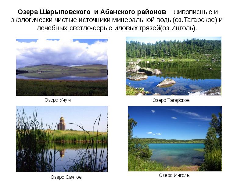 Озера Шарыповского и Абанского районов – живописные и экологически чистые источники