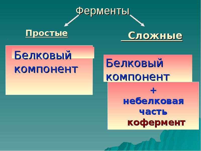 Ферменты химия 10 класс презентация