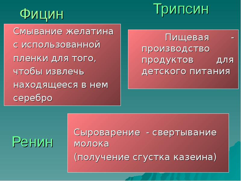 Презентация на тему ферменты 10 класс