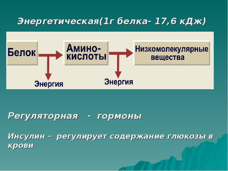 Презентация по ферментам 10 класс