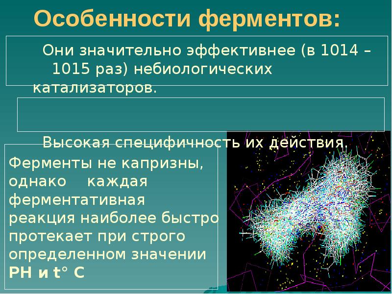 Ферменты презентация по биологии 10 класс