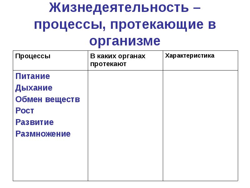 Жизнедеятельность живых организмов. Процессы жизнедеятельности организма. Основные процессы жизнедеятельности организмов. Основные процессы жизнедеятельности человека. Важнейшие процессы жизнедеятельности организма.