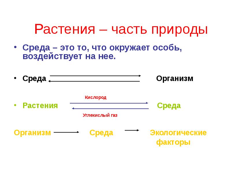 Части природы. Синоним "организм-среда".