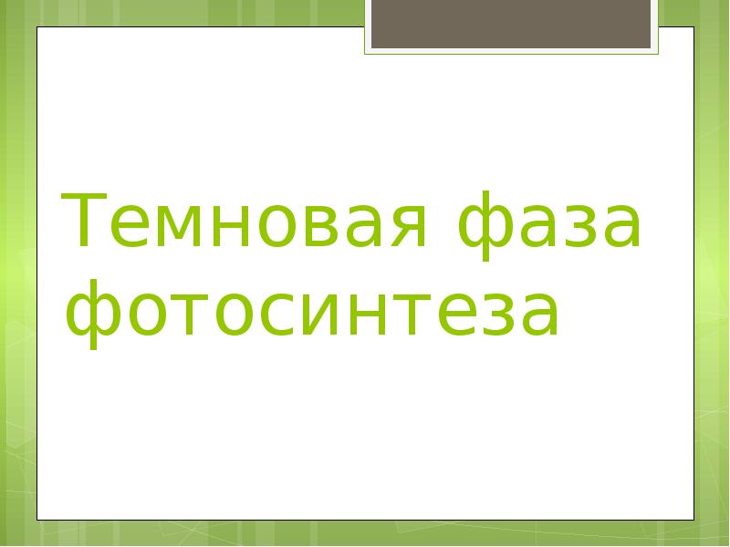 Дыхание растений 6 класс презентация