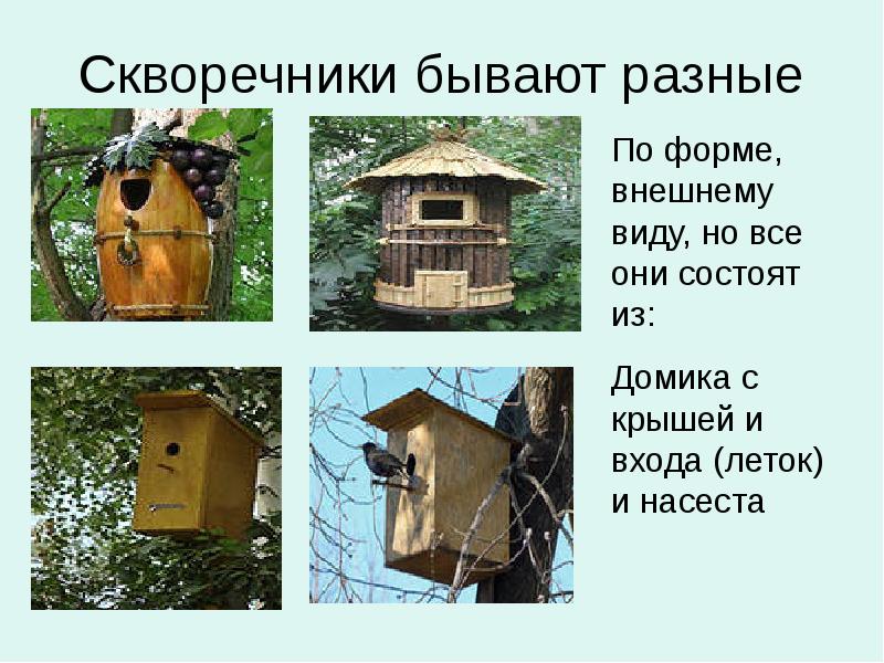 Реклама скворечника для проекта по технологии 5 класс