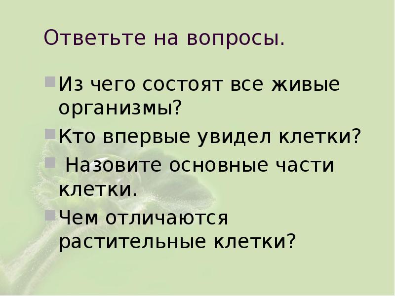 Свет необходим живым организмам для 5 класс. Из чего состоят все живые организмы. Из чего состоит все живое. Кто впервые увидел клетку.