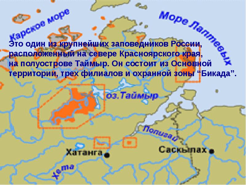 Заповедник таймырский презентация 4 класс