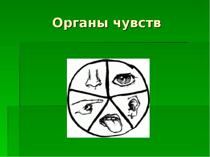 Условные знаки к правилам гигиены органов чувств. Органы чувств 1 класс. Знаки защиты органов чувств. Органы чувств рисунок 3 класс. Знаки органов чувств окружающий.