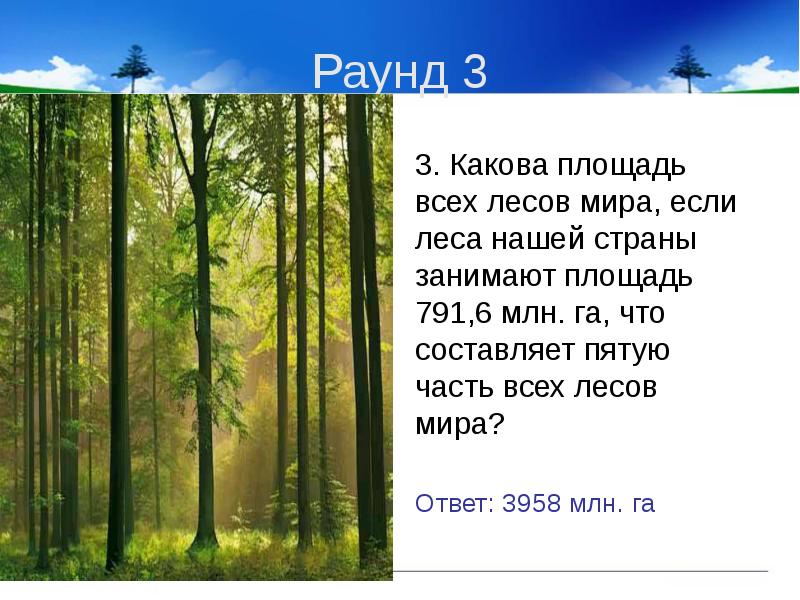 Самую большую территорию занимают какие леса 4. Какую площадь нашей страны занимают леса. общая площадь всех лесов нашей страны.