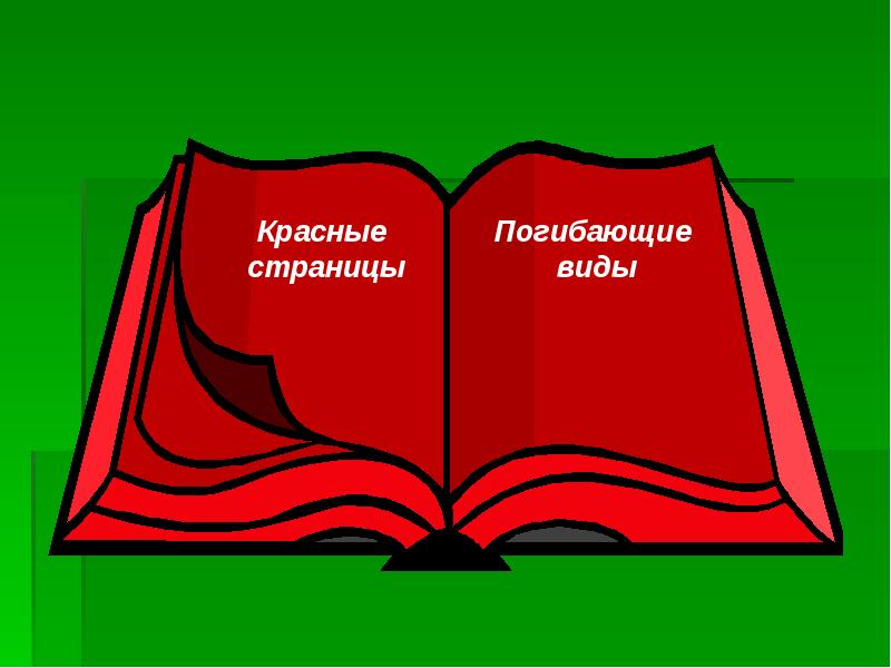 Страница красной книги рисунок