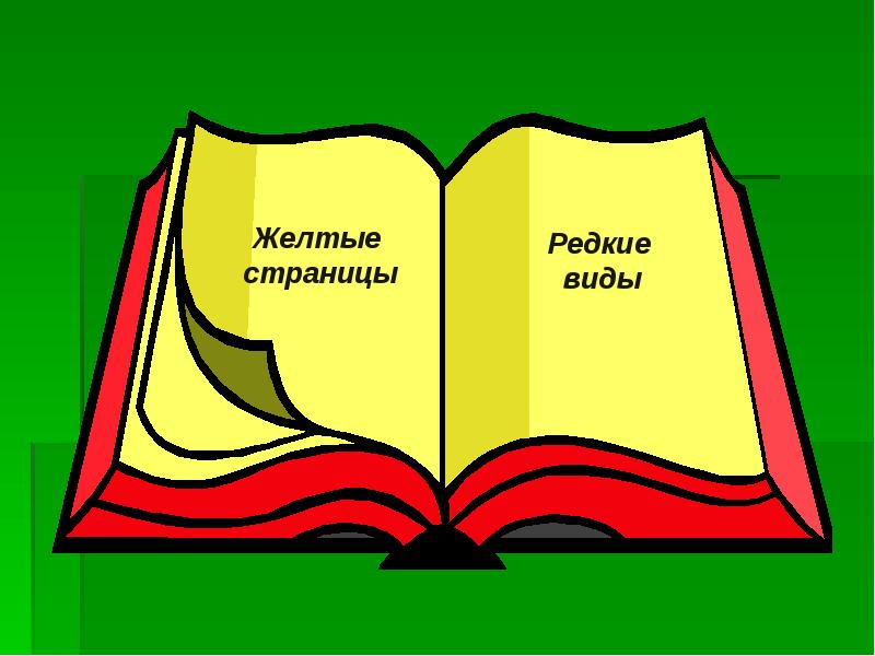 Красная книга для презентации