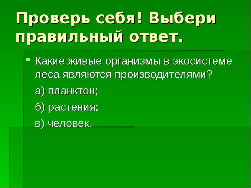 Экосистема леса презентация