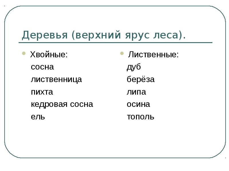 Из скольких ярусов может состоять еловый лес составьте схему работа в малых группах биология