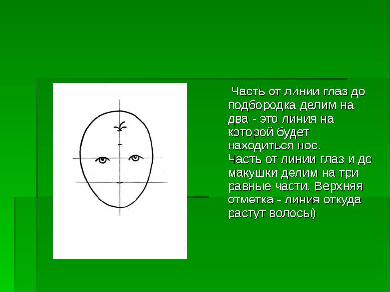 Части линии. От глаз до макушки. Линия глаз взрослого человека располагается на. Расстояние от макушки до глаз.