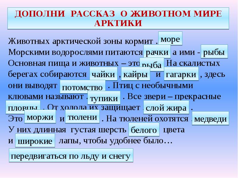 Арктика 4 класс окружающий мир. Арктика презентация 4 класс. Рассказ про Арктику. Сообщение о Арктике 4 класс. Арктика информация для 4 класса.