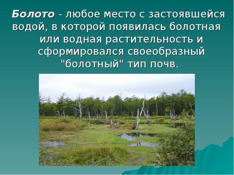 Природное сообщество болото 3 класс занков презентация