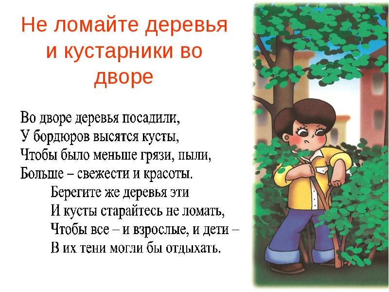 Мальчик плохой с ним не гуляй. Берегите деревья. Ломать деревья. Не ломать деревья и кустарники. Берегите деревья стихи.