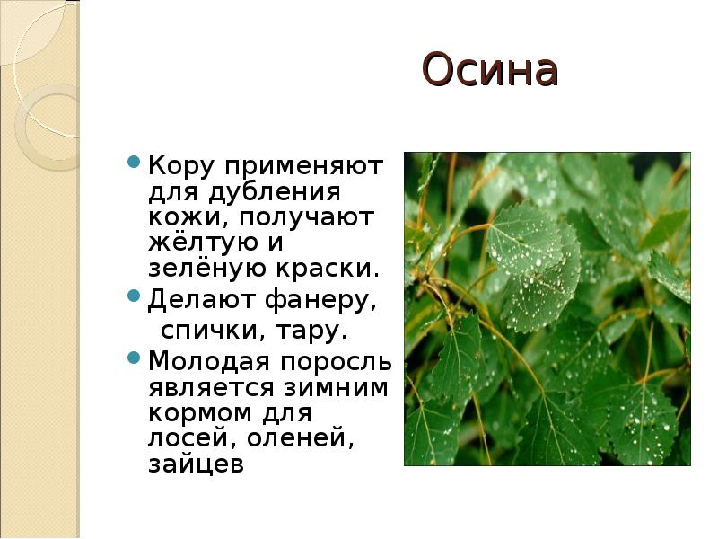 Восстановите легенду диаграммы используя следующий текст бук лесной осина слива