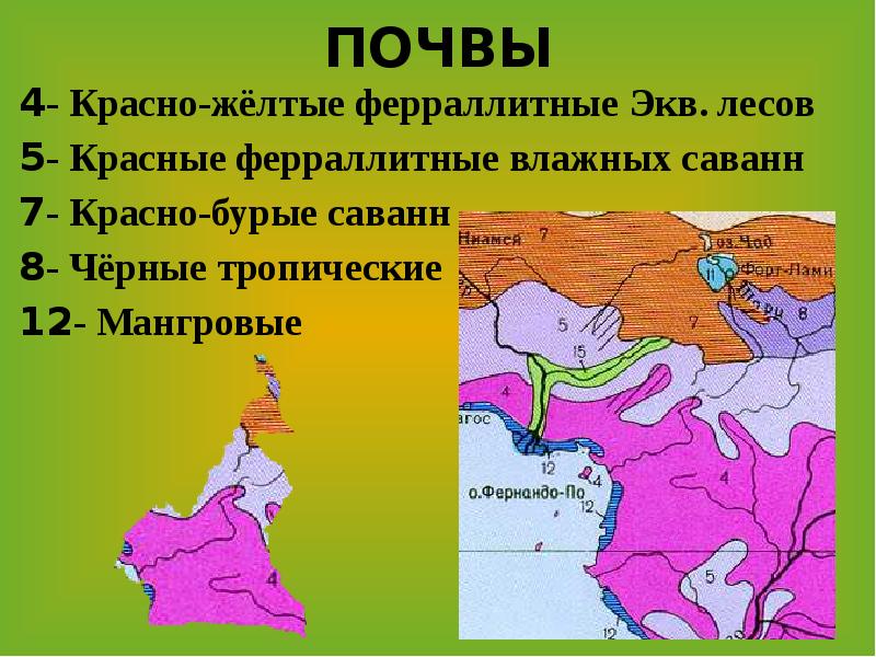 ПОЧВЫ 4- Красно-жёлтые ферраллитные Экв. лесов 5- Красные ферраллитные влажных саванн