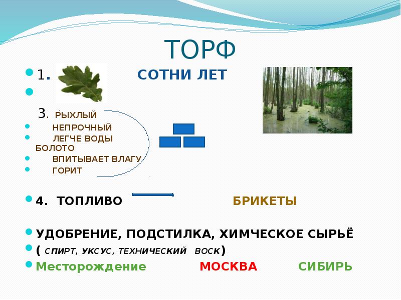 Вода поглощенная. Торф легче воды. Торф впитал влагу. Рыхлый торф. Торф легче воды или нет.