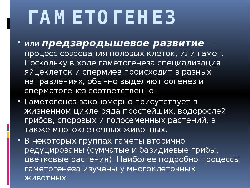 ГАМЕТОГЕНЕЗ
или предзародышевое развитие — процесс созревания половых клеток, или гамет. ГАМЕТОГЕНЕЗ
или предзародышевое развитие — процесс созревания половых клеток, или гамет.