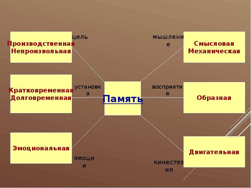 Картинки психические познавательные процессы