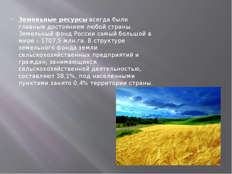 Земельные ресурсы всегда были главным достоянием любой страны. Земельный фонд России
